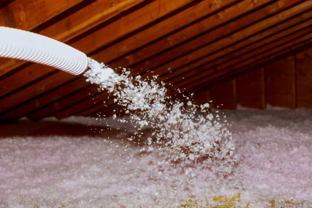 Best Energy-efficient Insulation  in Lowes Island, VA