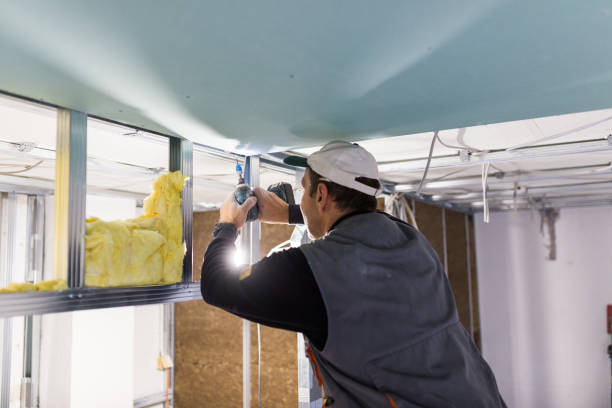 Best Insulation Contractor Near Me  in Lowes Island, VA