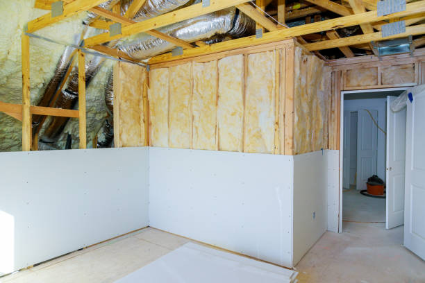 Best Insulation Repair Services  in Lowes Island, VA