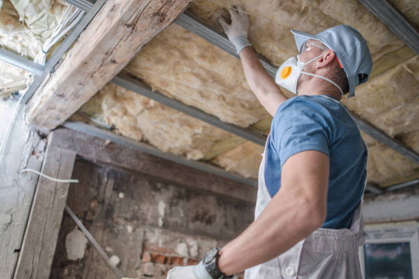 Professional Insulation Contractor in Lowes Island, VA