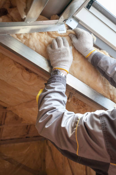 Best Professional Insulation Contractor  in Lowes Island, VA