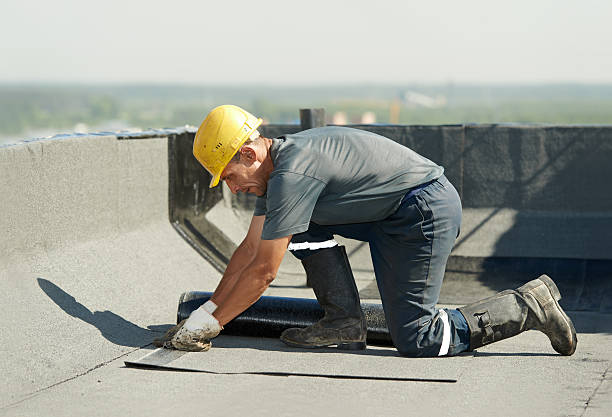 Best Wall Insulation Contractor  in Lowes Island, VA
