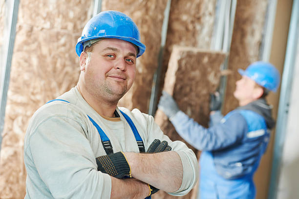 Best Home Insulation Services  in Lowes Island, VA